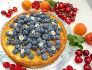 Blueberry Skyr Cake by Dr. Alexa Iwan